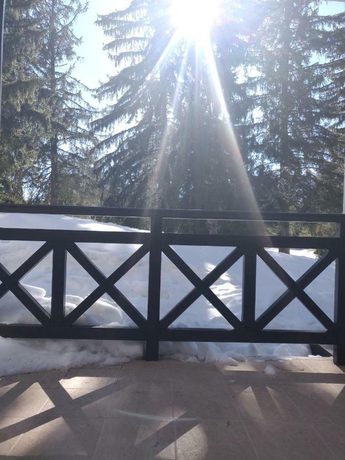 IV Apartment In The Wonderful Rhodope Mountain Smolyan Exterior photo